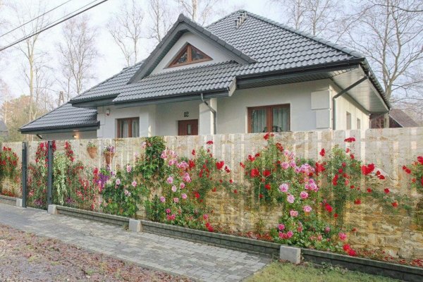 Кракен даркнет store